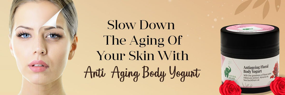 Anti - Aging Body Yogurt